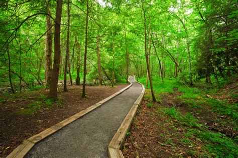 Hiking Path Accessibility