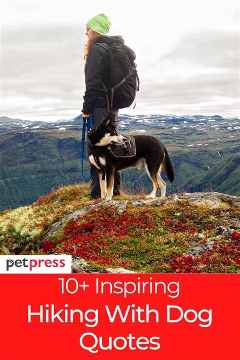 Hiking Quotes With Dogs