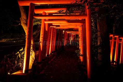Hiking Torii Gates Night