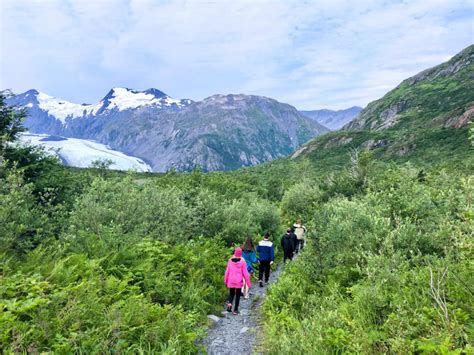 Hiking Trail Alaska