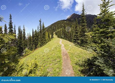 Hiking steep trail