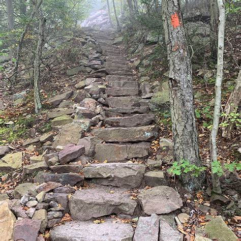 Hiking trail stone steps