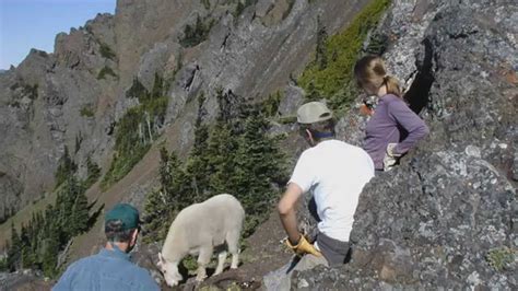 Is ‘Hiking with Goats’ Worth It? A Real Review