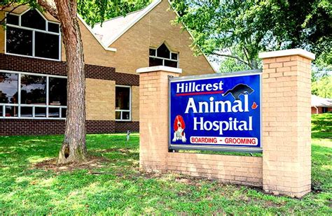 Top-Notch Pet Care at Hillcrest Animal Hospital: Your Trusted Veterinary Partner in Bartlett, TN