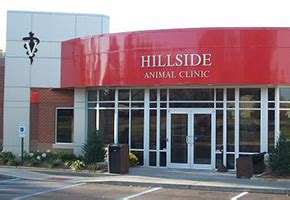 Hillside Animal Hospital Floyds Knobs: Providing Top-Quality Pet Care in Indiana