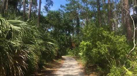 Hilton Head Nature