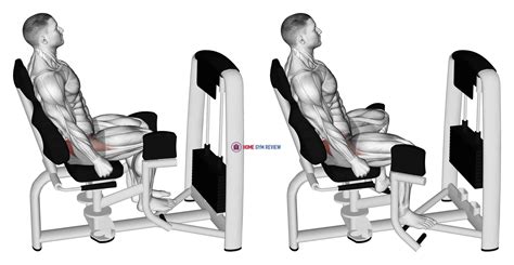 Hip Abduction Machine