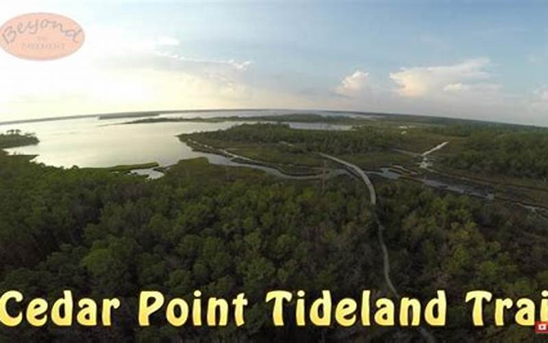 History Of Cedar Point Tideland Trail