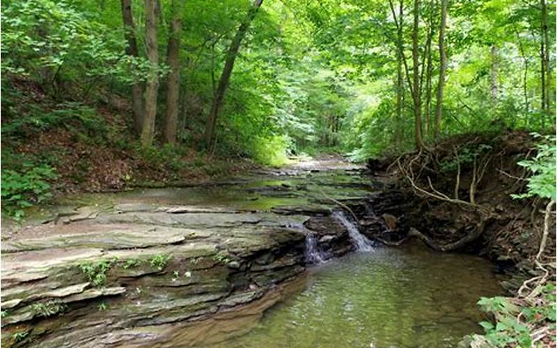 History Of Montour Woods Conservation Area