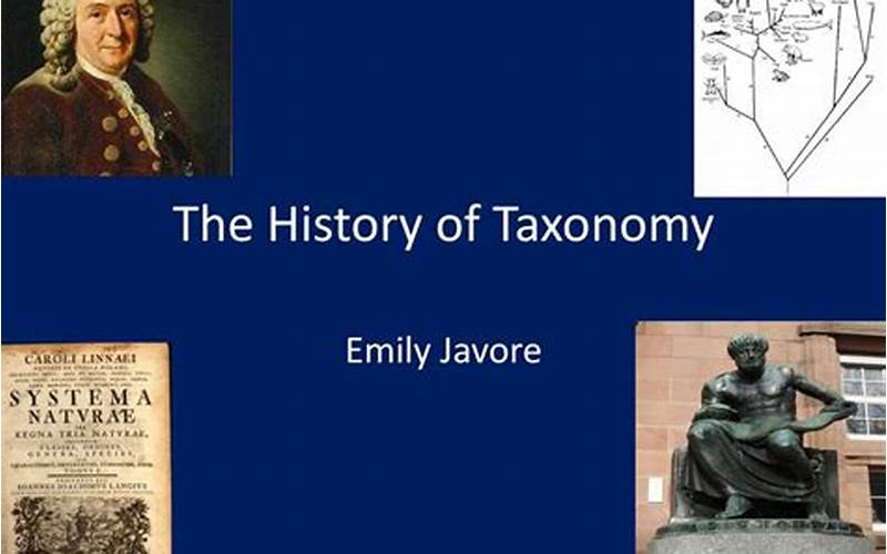 History Of Taxonomy