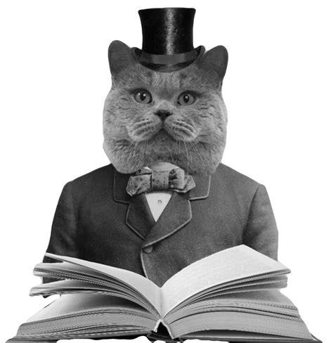 History of Cat Cartoons