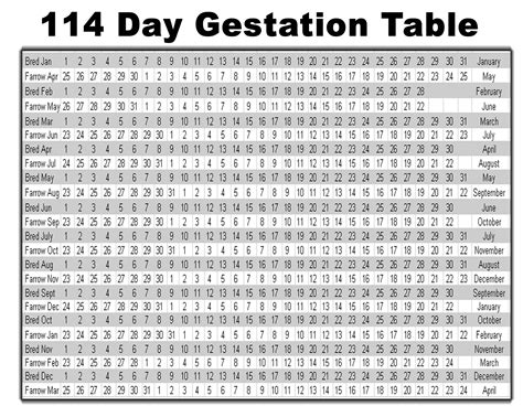 Hog Gestation Calendar