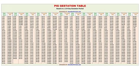 Hog Gestation Calendar