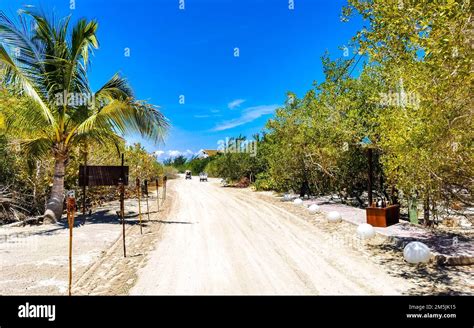 Holbox Island landscape