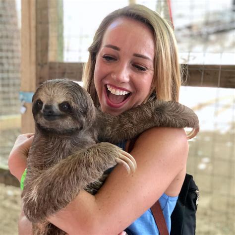Holding Sloth