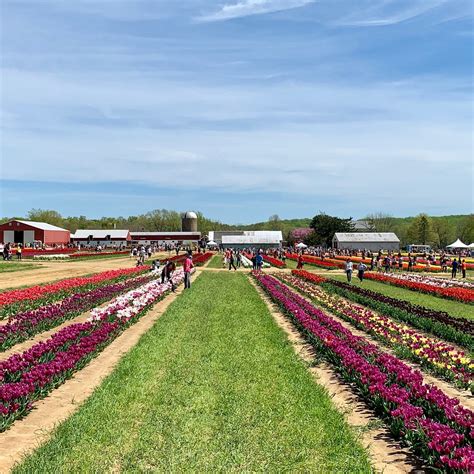 Holland Ridge Farms Map