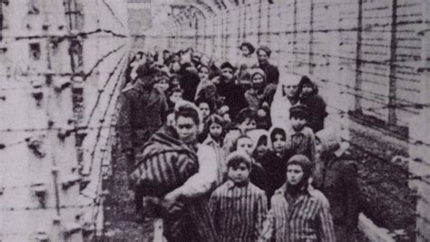 Holocaust's Devastating Impact