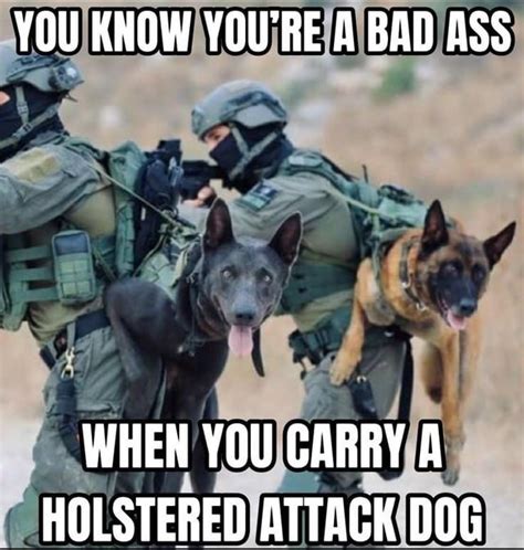 Holstered Attack Dog Meme