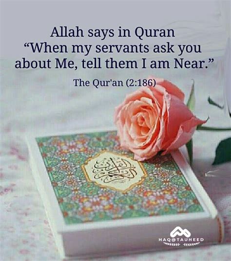 Holy Quran Quotes
