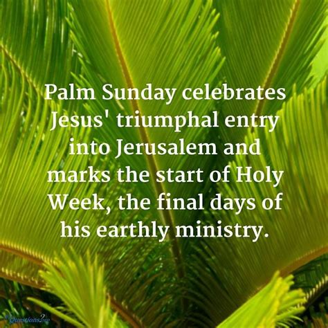 Holy Saturday The Meaning Of Palm