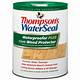 Home Depot Thompson's Water Seal