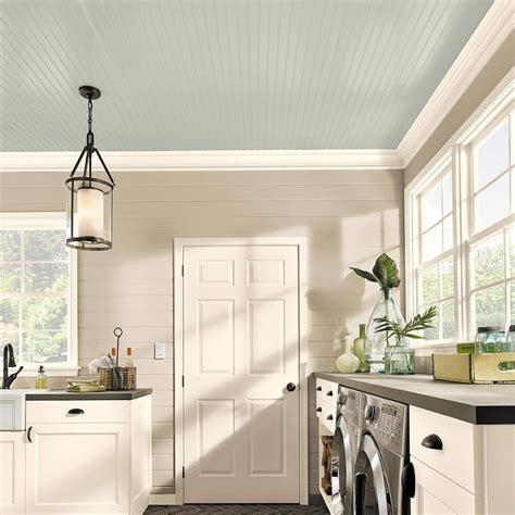 Home Ceiling Paint Color