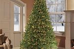 Home Depot Christmas Tree Sale
