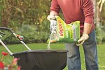 Home Depot Lawn Care
