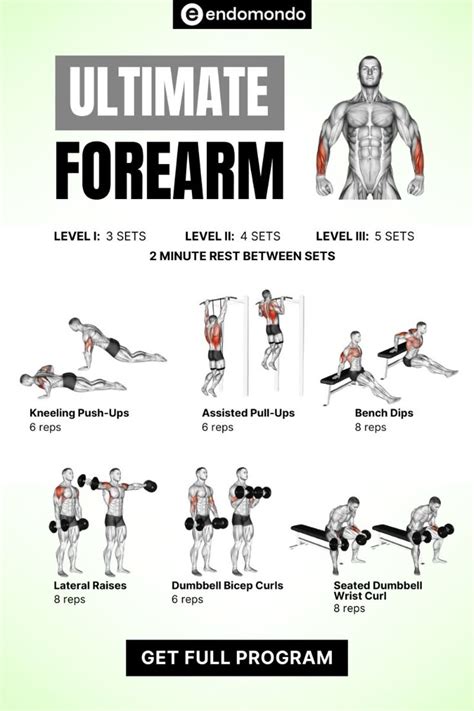 Home Forearm Workouts