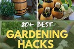Home Improvement DIY Gardening