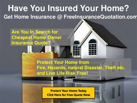 How to Compare and Buy Home Insurance Online Young Adult Money
