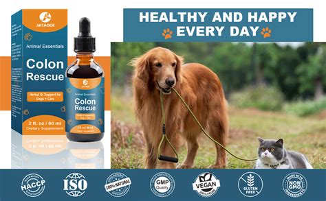 Home Remedy Laxative For Dogs