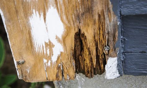 Home with Wood Rot & Termite Damage Los Angeles