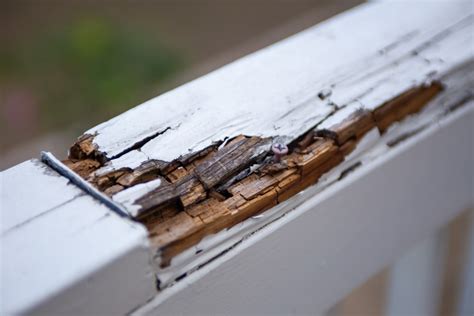 Home with Wood Rot Damage