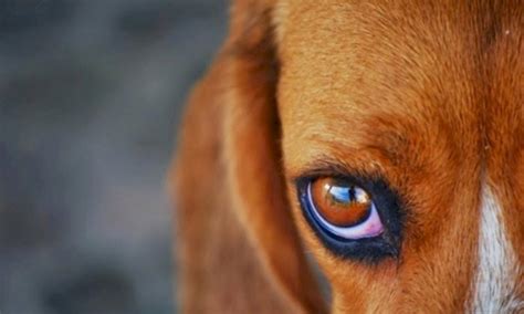 Como o celular pode desconectar o seu relacionamento