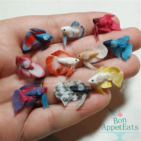 Homemade Betta Fish Toys