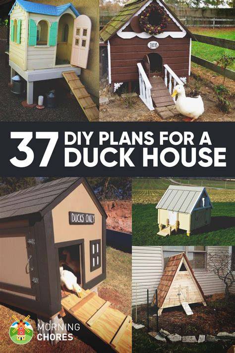 Build a Safe and Loving Home for Your Ducks with Our Easy-to-Follow DIY Duck House Plans