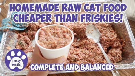 Homemade Raw Food Recipes For Cats