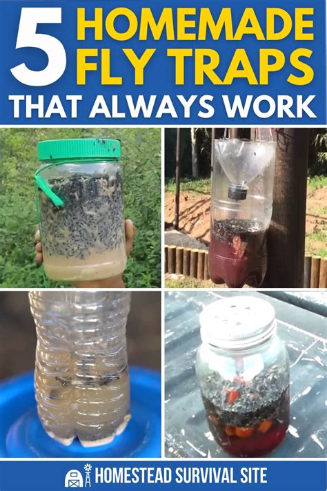 Homemade Traps