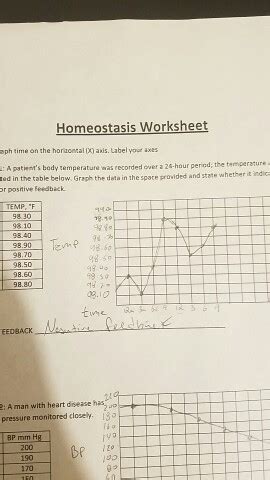 Homeostasis Worksheet Answers Graph