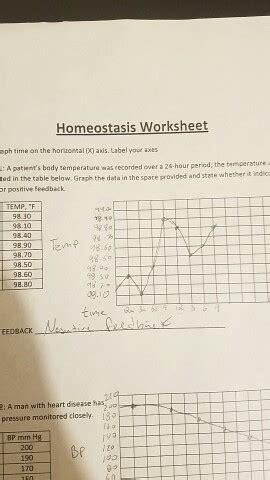 Homeostasis Graph Worksheet Answers