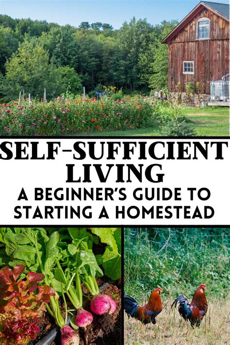 Homesteading Self Sufficiency
