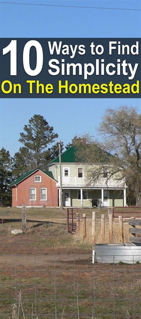 Homesteading Simplicity