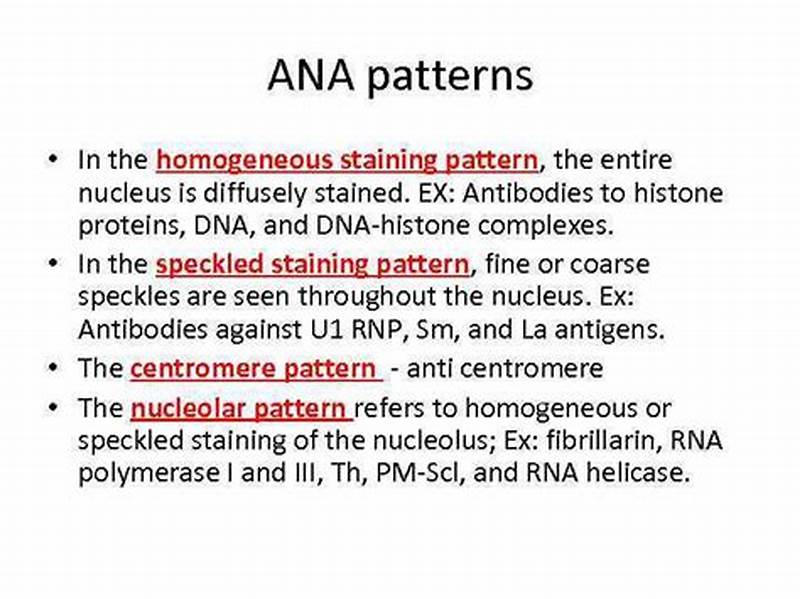 Homogeneous Ana Pattern