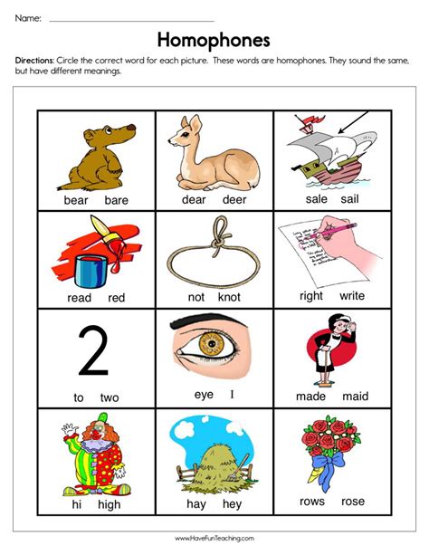 Homophones worksheet