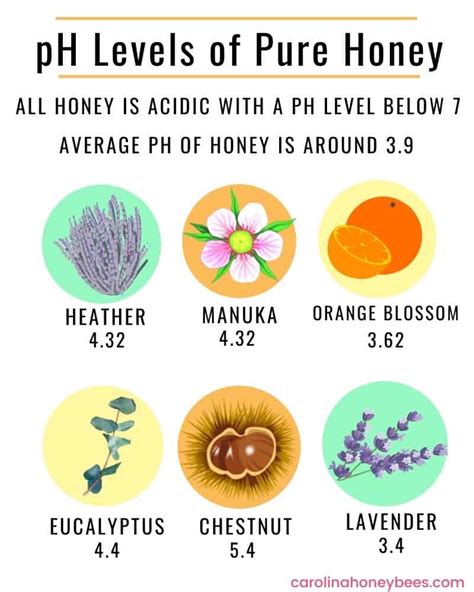Honey pH Chart