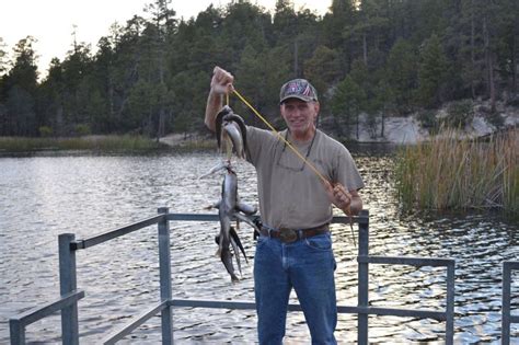 Honoring Their Memory and Finding Meaning