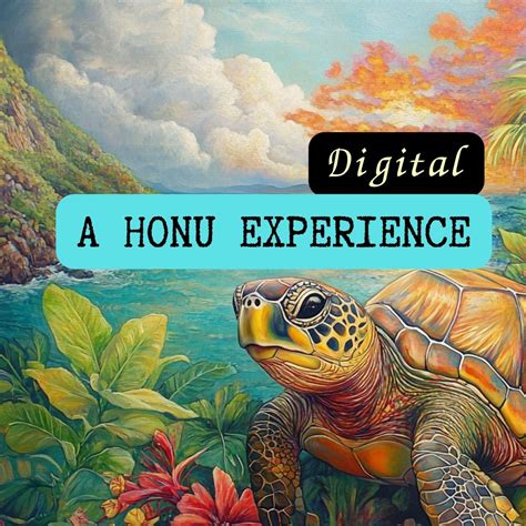 Honu Experience