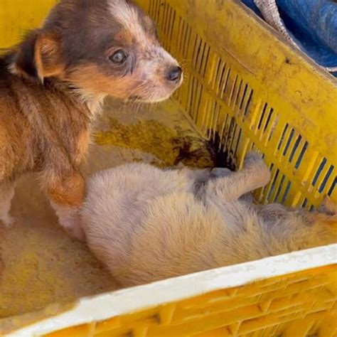 Hope Amidst Tragedy Atlanta Community Finds Strength in Unity