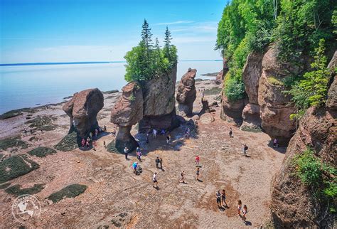 Hopewell Rocks & Fundy Park Private Tour: A Detailed Review